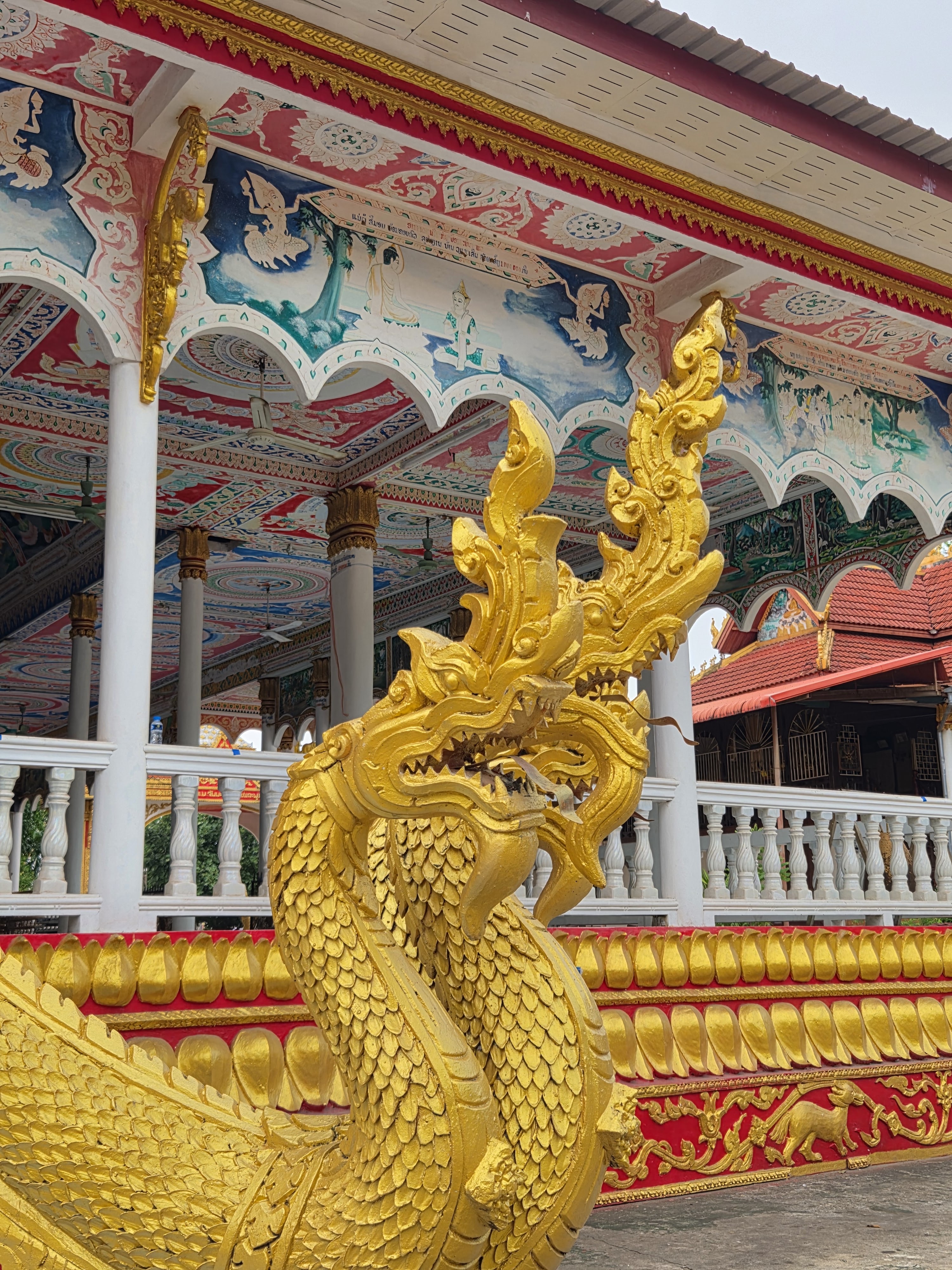 ດອກຈຳປາບານ ໂດຍມີພຣະທາດສີທອງເປັນສາກຫຼັງ